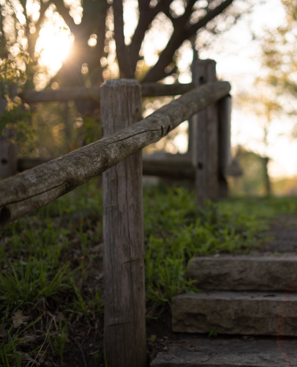 Split-rail fence and stone steps