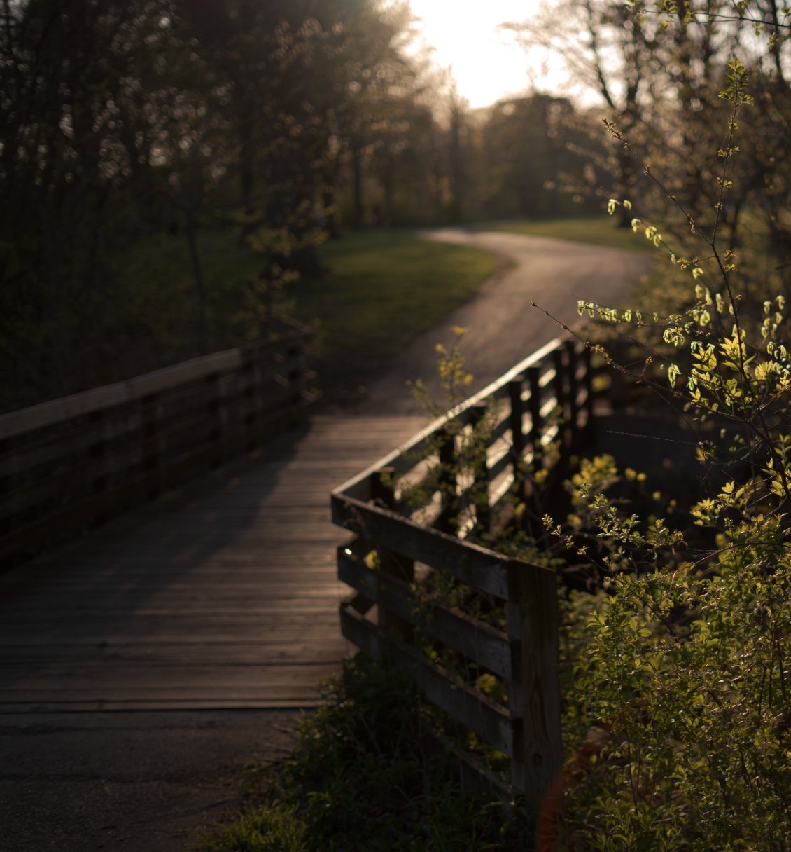 Wooden footbridge at golden hour